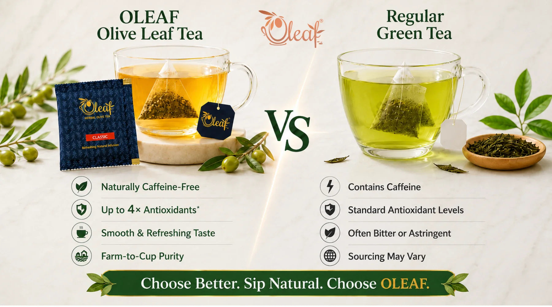 Olive Leaf Tea vs Green Tea: Which One Is Better for Your Daily Wellness Routine?