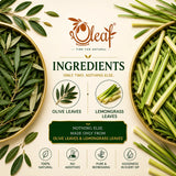 Herbal Olive Leaf Tea - Lemongrass (Teabags)