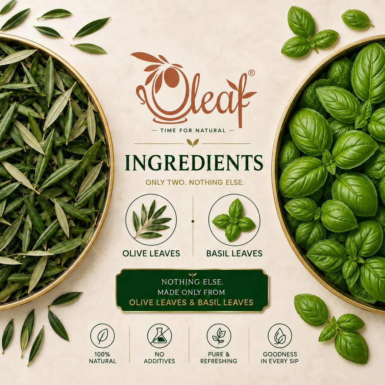 Herbal Olive Leaf Tea - Basil (Teabags)