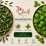 Herbal Olive Leaf Tea - Basil (Teabags)