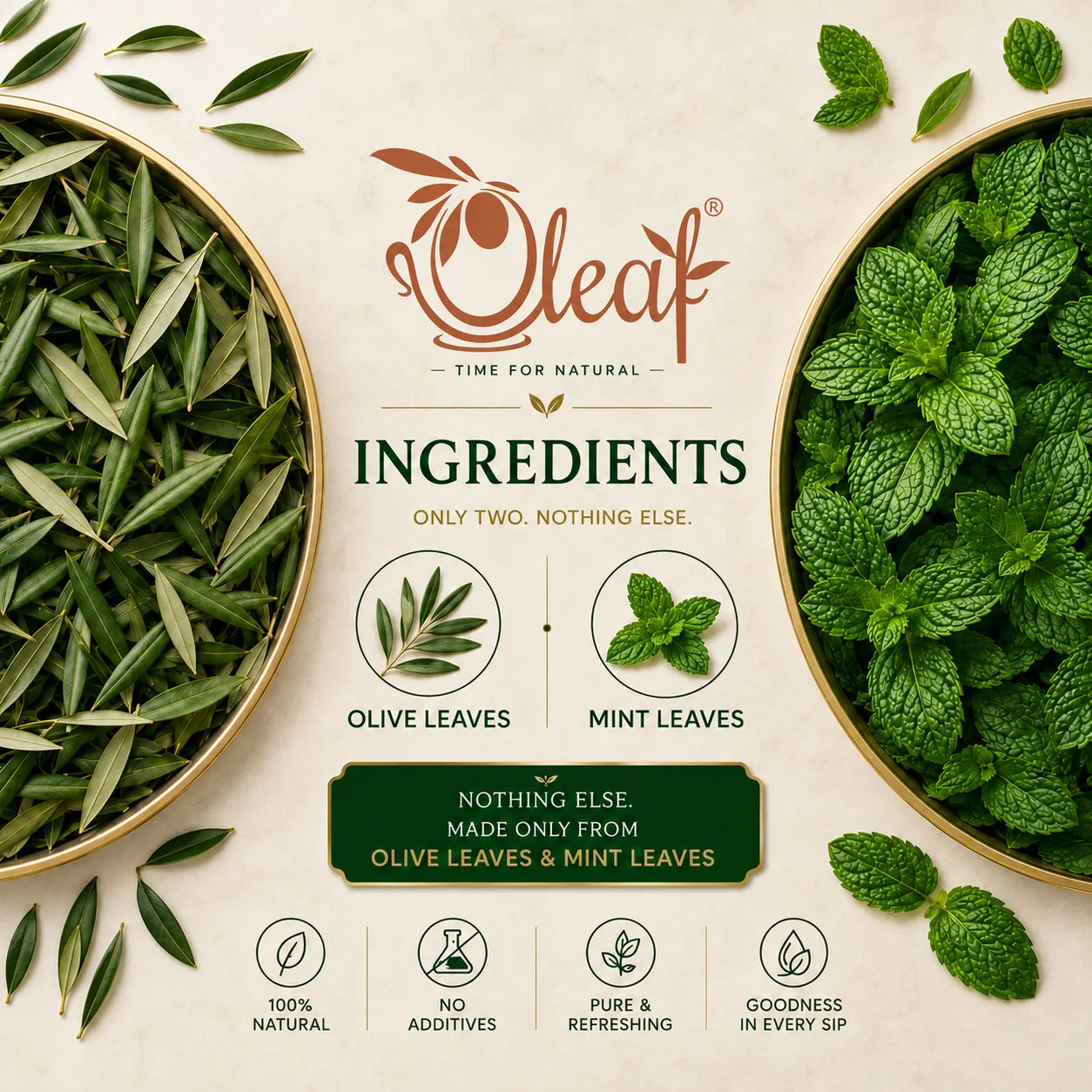 Herbal Olive Leaf Tea - Mint (Teabags)
