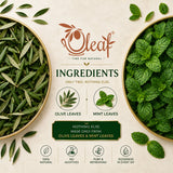 Herbal Olive Leaf Tea - Mint (Teabags)